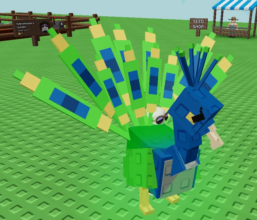 peacock GROW A GARDEN FAST DELIVERY