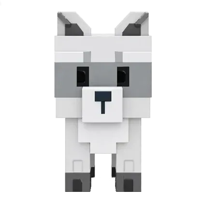 Raccoon — Account account