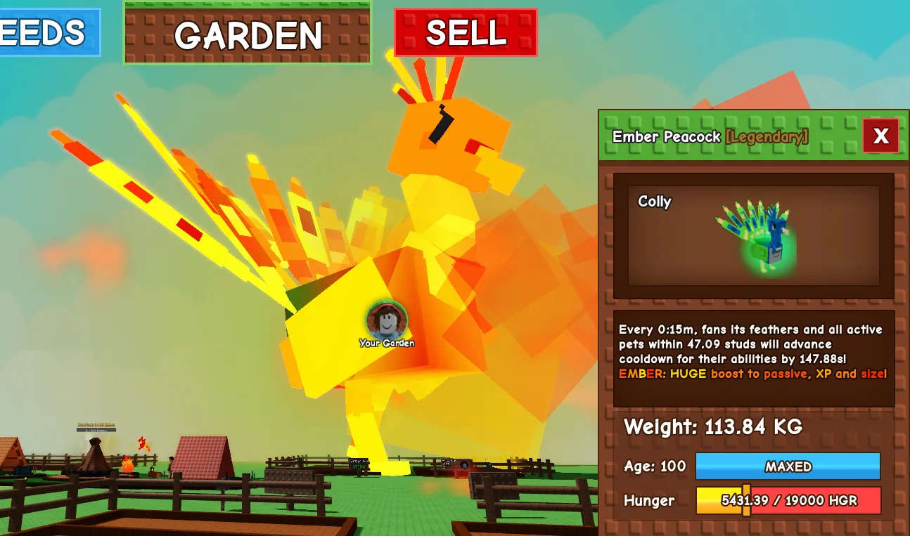 113.84kg Godly Ember Peacock — Account account