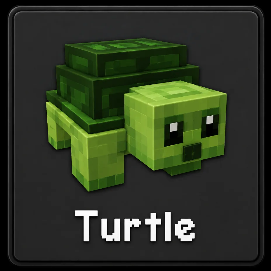 TURTLE FAST DELIVERY (Rare) — Account account