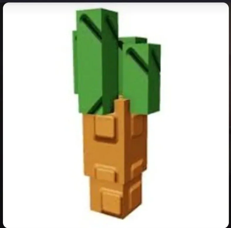 Carrot Seed (Common) — Account account