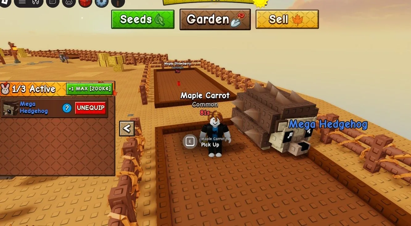 Hedgehog