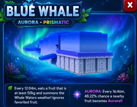 Blue Whale 60KG