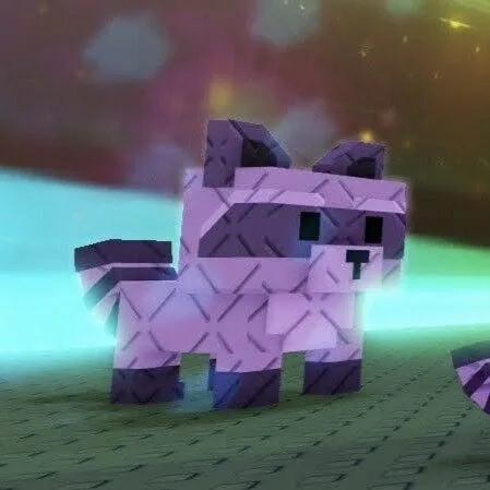 Raccoon (Super) — Account account