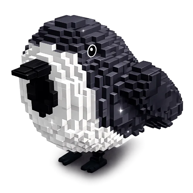 Birb Fast Delivery — Account account