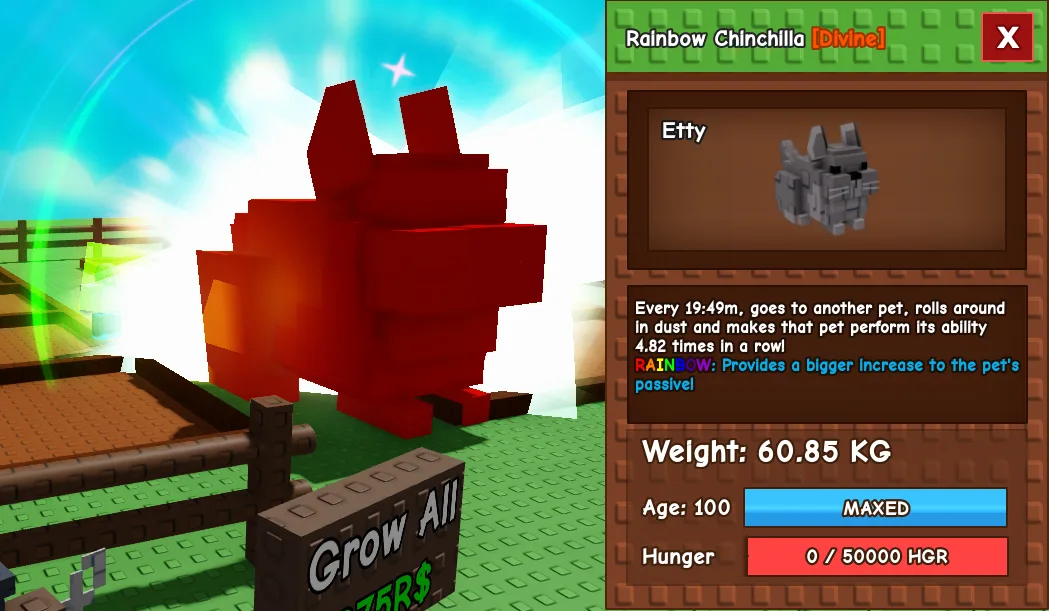 61kg+ Age 100 Rainbow Chinchilla