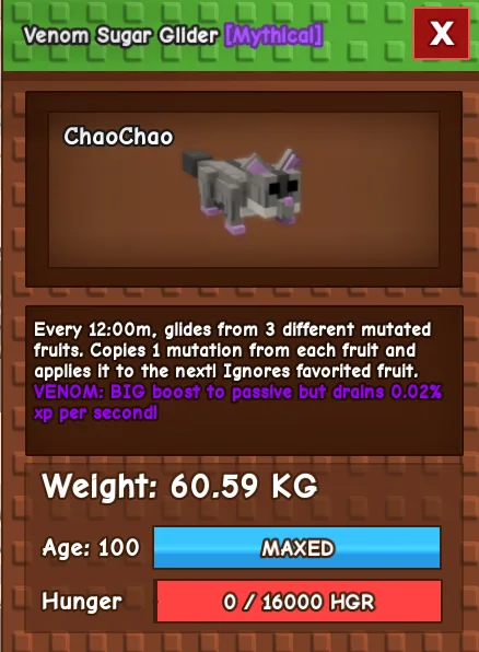 60kg HUGE VENOM SUGAR GLIDER SUPER HANDSOME