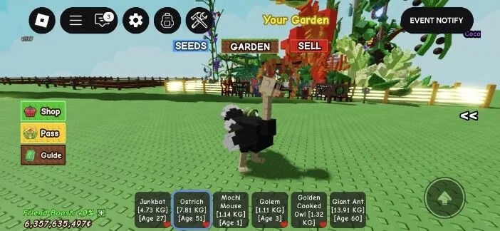 Ostrich 7.81kg age 51