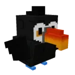 Toucan — Account account