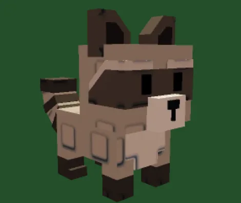 Raccoon