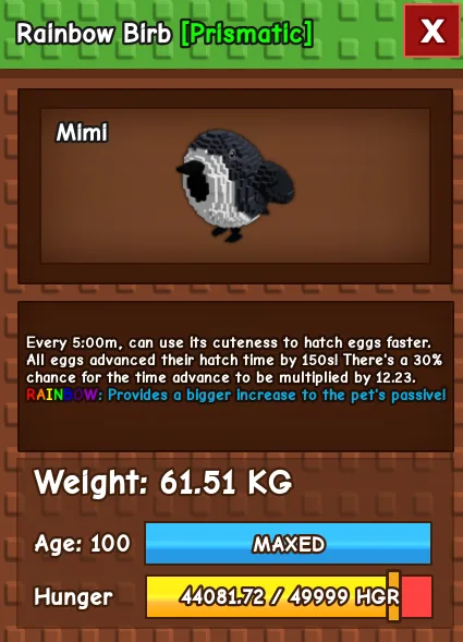 60KG - 61KG RAINBOW BIRB — Account account