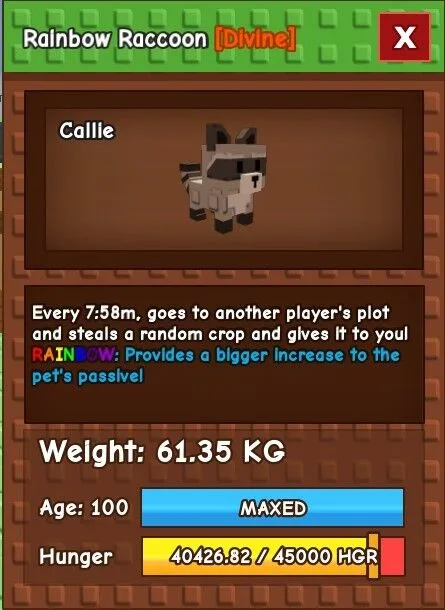 60KG - 61KG RAINBOW RACCOON — Account account