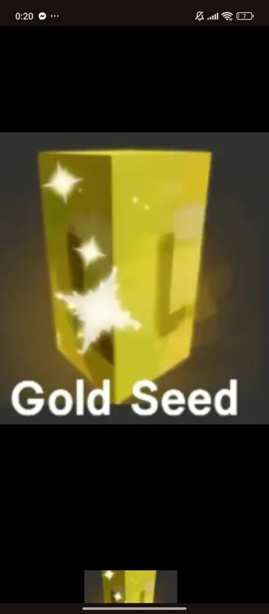 Gold Seed (Super) — Account account