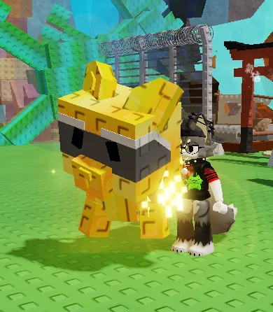 Golden Raccon — Account account