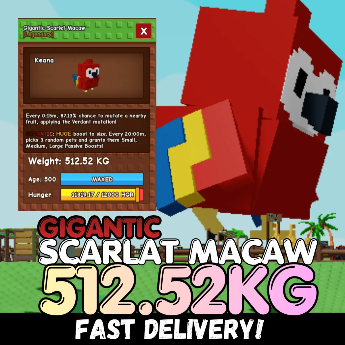 GIGANTIC Colossal Scarlet Macaw 512.52KG Age 500 INSTANT DELIVERY