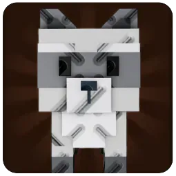 Raccoon