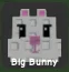Bunny (Common) — Account account
