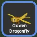 Golden Dragonfly — Account account