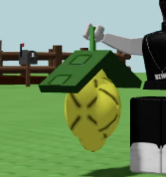 Lemon Fruit — Account account