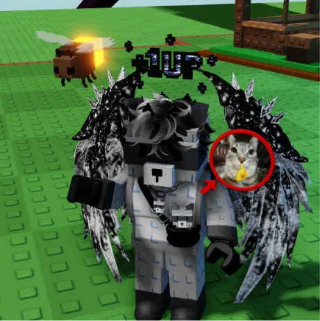 CHEAP FIREFLY PET