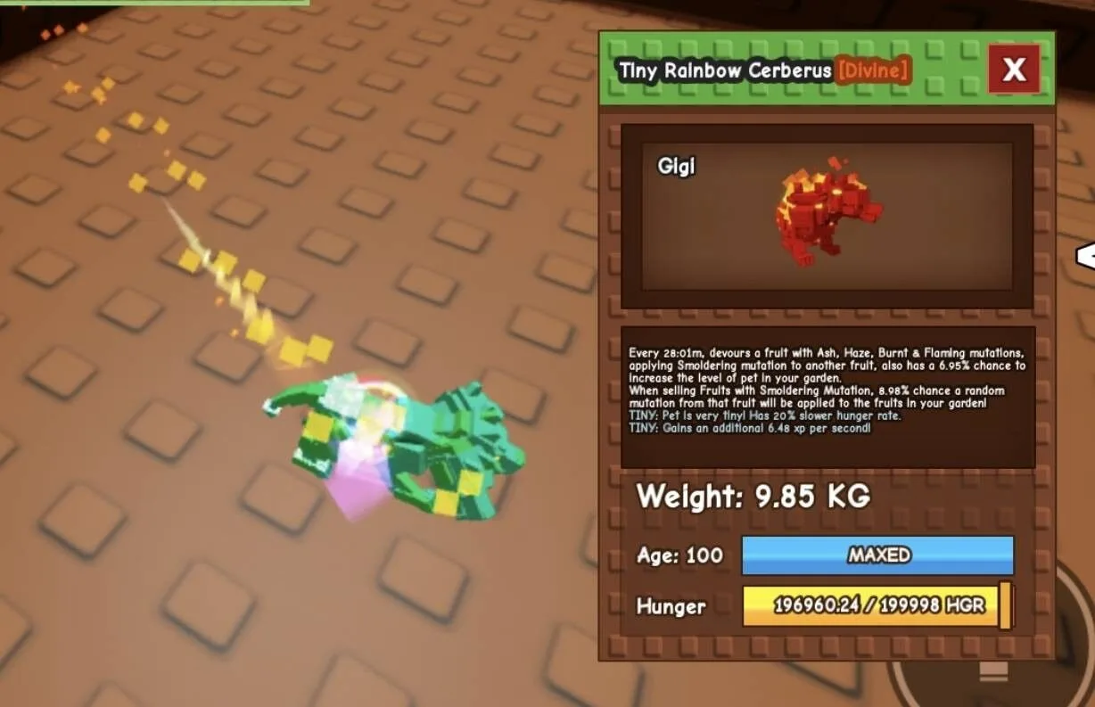 TINY Rainbow Cerberus - 9.85 KG (Age 100)