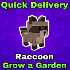 Raccoon Instant Delivery Limited Raccoons — Account account