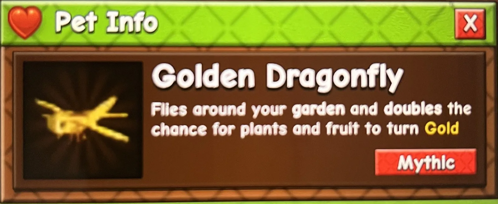 golden dragonfly — Account account