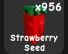 Strawberry Seed (Uncommon) — Account account