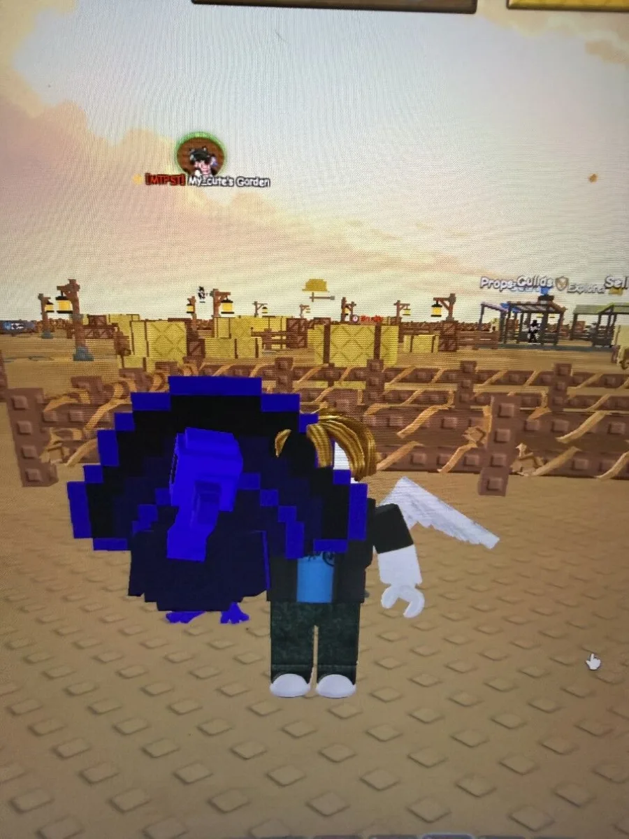 Turkey (Rare)