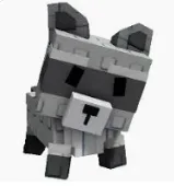 Raccoon (Super)