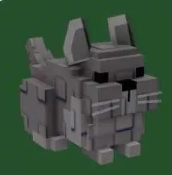Chinchilla AGE 1/Random KG BEST FAST DELIVERY NON DUPED 100 CLEAN