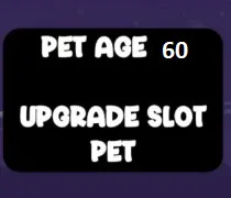 pet age 60+