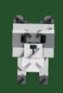 Raccoon (Super) — Account account