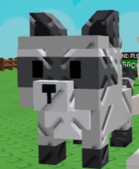 Raccoon (Super)