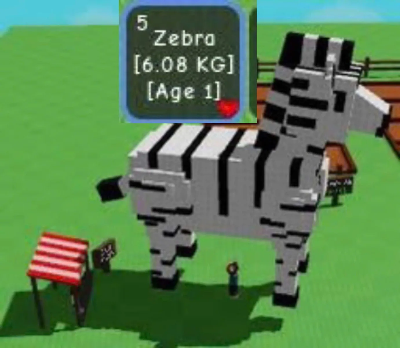 HUGE BIG Zebra AGE 1 /100 6KG BEST FAST DELIVERY NON DUPED 100 CLEAN NO MEGA