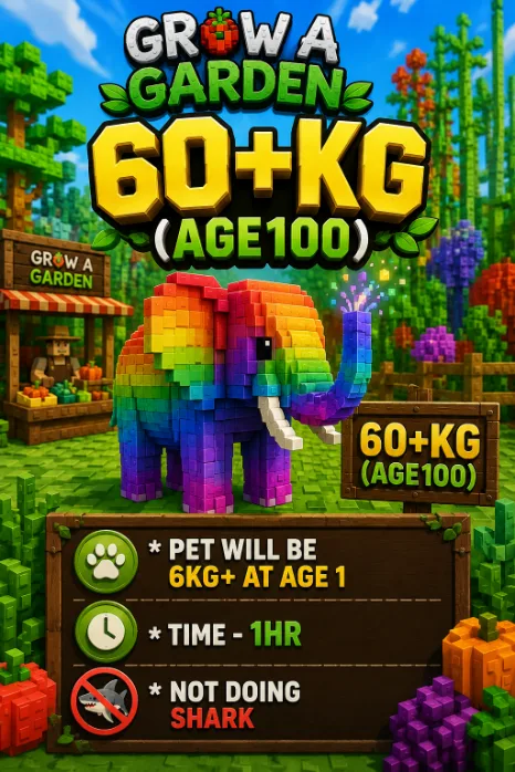 KG Boost / Weight Service