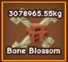 3 MILLION KG+ BONE BLOSSOM FRUIT