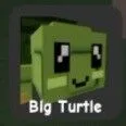 Turtle (Rare)
