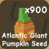 Atlantic Giant Pumpkin Seed (Legendary)