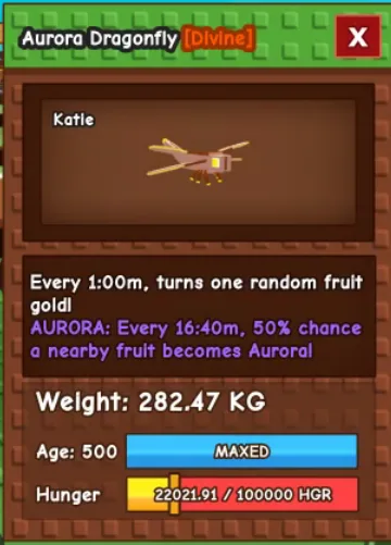 280kg+ Aurora Dragonfly super handsome and cute