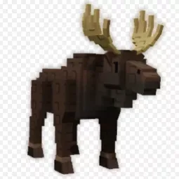 Moose