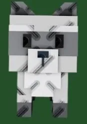Raccoon (Super)