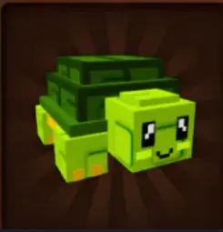 Turtle (Rare) — Account account