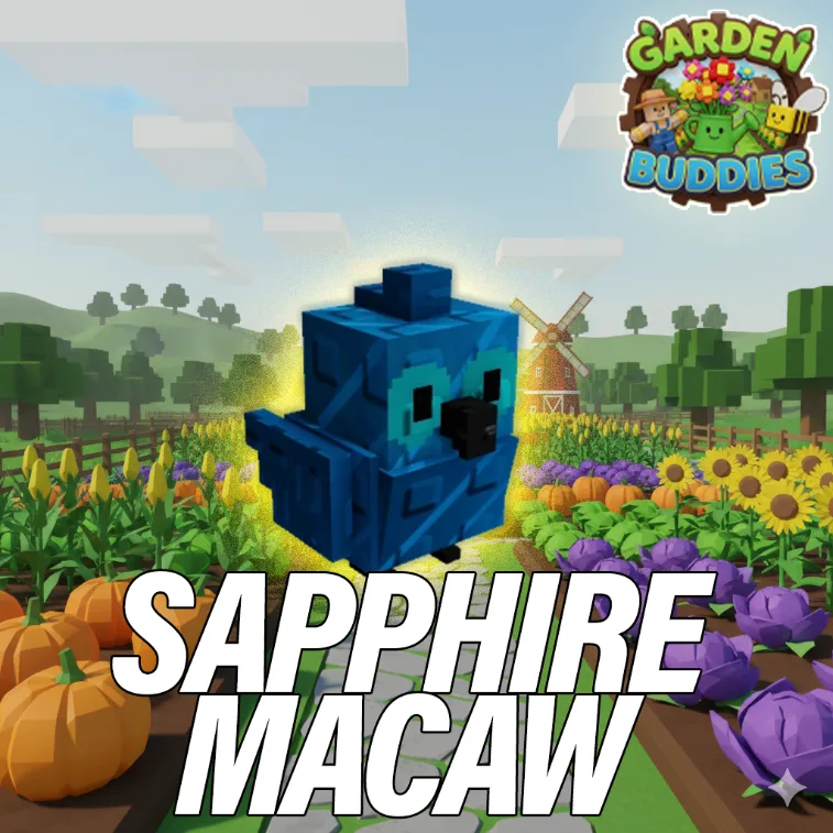 2x Sapphire Macaw Clean No Bug No Dupe Instant Delivery — Account account
