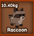 Mega Raccoon 10.40 KG FAST TRADE — Account account