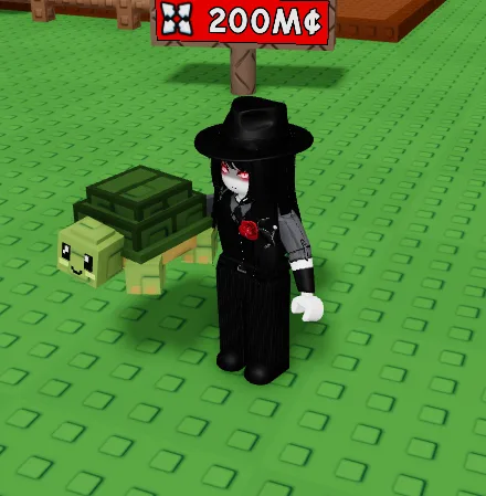 TURTLE NEW PET! — Account account