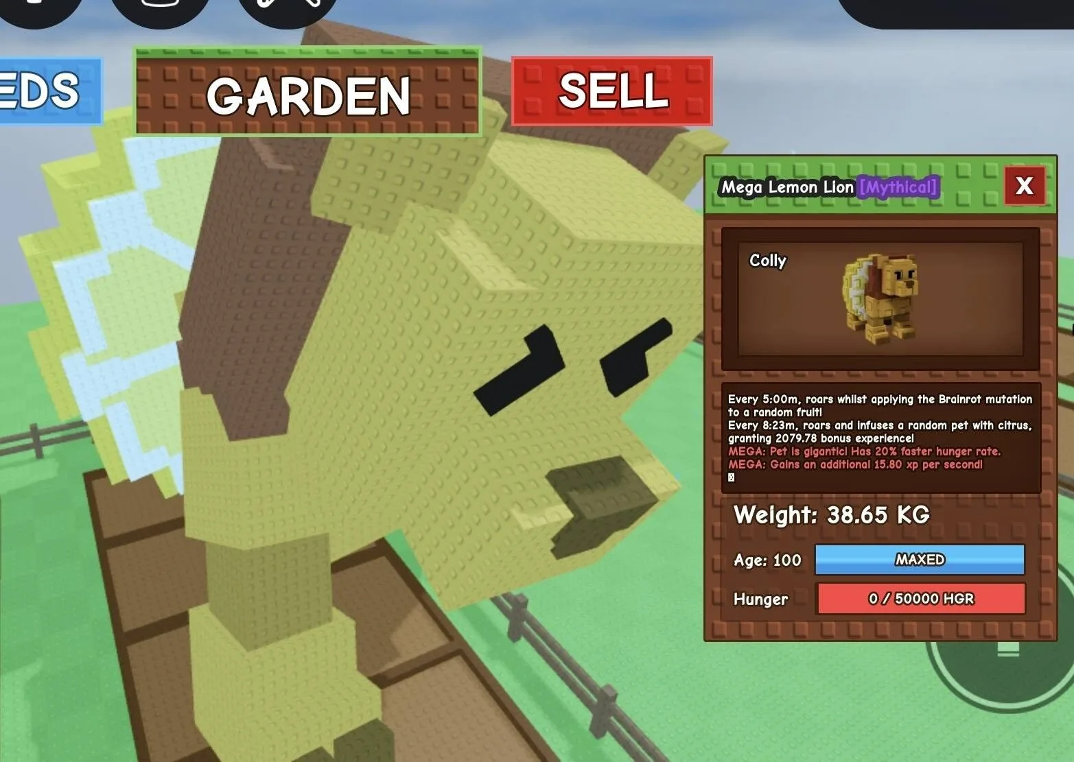 Huge MEGA Lemon Lion - 38.65 KG (Age 100)