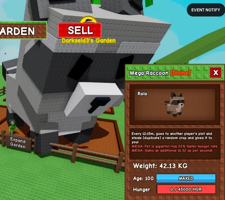 Mega Huge Raccoon 42kg+ Age 100 Maxed Big Titan Visual Cheap Non Dupe Guaranted