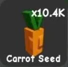 Carrot Seed (Common)