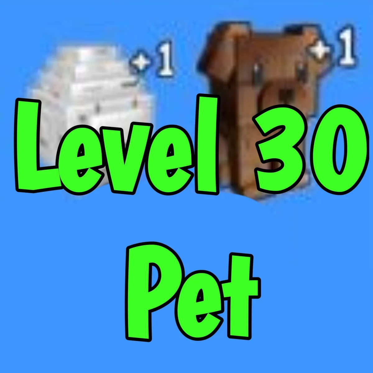 Level 30 Pet For Pet Slot +1 (Grow A Garden) — Account account